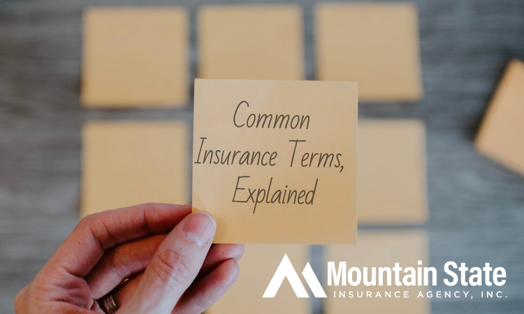 Common-Insurance-Terms-Explained